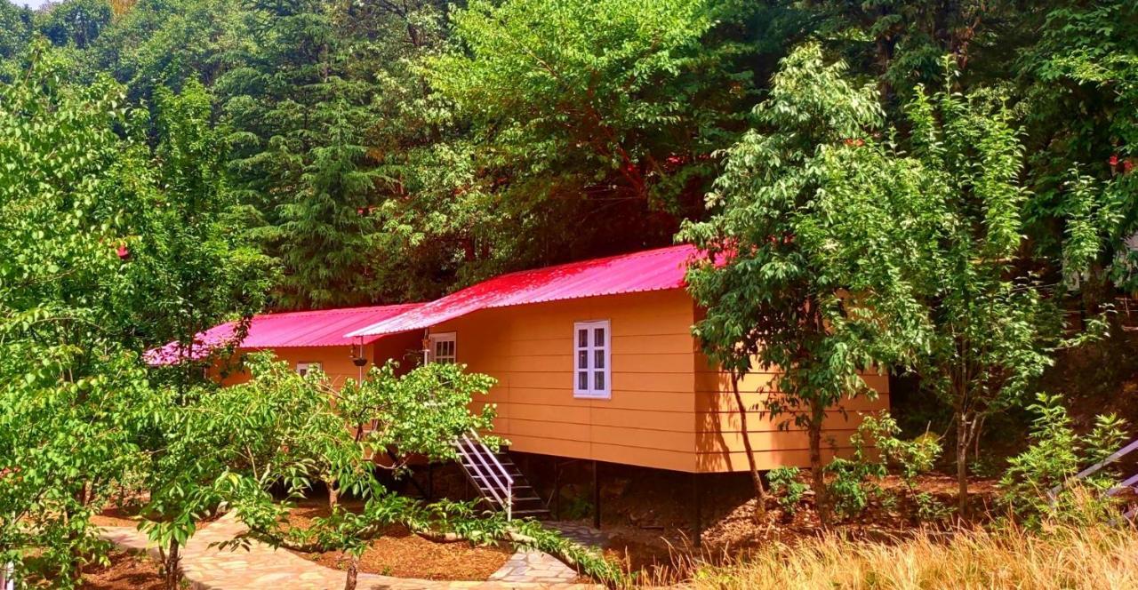 Aaroham Resort Shimla ! Luxury Cottage By Aamod Group Exterior foto